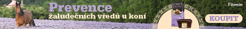 Fitmin Gastric Protector pro podporu žaludku koní
